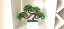 花藝赫  仿真迎客松植物盆栽室內(nèi)綠植小盆景擺件桌面假花擺設(shè)家居裝飾品擺件 綠色迎客松 曬單實(shí)拍圖