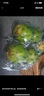 千朵云海南青檸檬香水檸檬泡茶水果健康輕食 青檸檬 2斤 曬單實(shí)拍圖