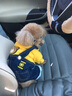 嬉皮狗（hipidog）狗狗衣服小型犬寵物秋冬保暖泰迪比熊博美可愛(ài)小狗四腳秋冬裝 黃色牛仔小熊（加絨） S（建議體重3-5斤） 曬單實(shí)拍圖
