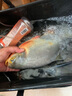 貝克力（BERKLEY）Gulp魷魚(yú)仔 路亞餌誘魚(yú)軟餌淡海水微物馬口翹嘴遠投浮水軟蟲(chóng)假餌 CH熒光黃 曬單實(shí)拍圖