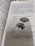 正版全10冊(cè)超級(jí)記憶術(shù)+思維導(dǎo)圖思維風(fēng)暴逆轉(zhuǎn)思維最強(qiáng)大腦逆轉(zhuǎn)思維等提高大腦記憶力思維邏輯技巧訓(xùn)練書籍 曬單實(shí)拍圖