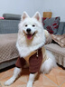 醫(yī)仕高骨骼寶鯊魚軟骨素狗狗腿瘸金毛泰迪犬健骨補鈣關節(jié)軟骨素狗 【動作不利索】260g 曬單實拍圖