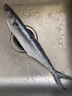 森圖鮮新鮮冷凍鮐鲅魚馬鮫魚青條魚青占魚鮐魚深海魚海鮮水產(chǎn)批發(fā) 三斤裝 曬單實(shí)拍圖