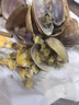 漁凱丹東黃蜆子鮮活冷凍海鮮水產(chǎn)生鮮即食新鮮捕撈活凍無(wú)沙貝類(lèi)食材 4袋 1600g 曬單實(shí)拍圖