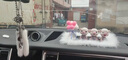 奔域 汽車(chē)掛件車(chē)內飾品水晶天鵝女士高檔時(shí)尚可愛(ài)創(chuàng  )意車(chē)上車(chē)載后視鏡吊墜車(chē)載內飾品掛件 【白色】雙面天鵝掛件+貂毛掛件 曬單實(shí)拍圖