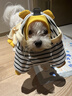 MIKI PAD狗狗衣服小型犬春秋款貓咪衣服四腳衣可牽引小狗衣服泰迪比熊 黃色小熊背帶褲 L背長(cháng)35cm（參考體重8-11斤） 曬單實(shí)拍圖