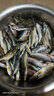 客友釣具客友悍風(fēng)鯽魚竿37調(diào)超輕超細(xì)超硬魚竿釣魚竿手竿臺(tái)釣竿鯽魚桿漁具 3.6m 悍風(fēng)鯽 曬單實(shí)拍圖