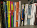 墨点儿童字帖练字字帖楷书正楷小学生同步凹槽练字宝三年级上册课课练人教版3年级学前班幼儿园练习描红练字本小学入门初学者 实拍图