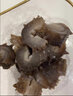 舜御堂大連即食海參深海底播遼刺參新鮮冷凍海鮮水產(chǎn) 1500g 110-150只 曬單實(shí)拍圖