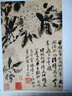 【包郵】中國畫大師經(jīng)典系列叢書名家山水花鳥人物畫集畫冊畫譜（明末清初） 石濤 曬單實拍圖