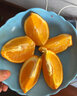 青惠悠湖北秭歸臍橙夏橙果凍屈鄉(xiāng)秋橙子宜昌特產(chǎn)三峽新鮮水果順豐 5斤精選【大果70mm+】 曬單實拍圖