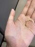 中國黃金（CHINA GOLD）黃金吊墜一路有你項(xiàng)鏈女5G黃金鹿角套七夕情人節(jié)禮物送女朋友老婆 一路鹿角項(xiàng)鏈【5G套鏈】約3.3g 曬單實(shí)拍圖