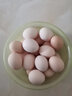 保衛蛋蛋農家土雞蛋現撿新鮮谷物蟲(chóng)草柴雞蛋年貨節禮盒送禮 土雞蛋20枚 曬單實(shí)拍圖