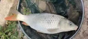 千代云禾旗艦鶴日本超輕魚竿臺(tái)釣竿超硬28調(diào)綜合湖庫休閑野釣鯉鯽釣魚手桿 6.3m +原裝竿梢+免費(fèi)配節(jié) 曬單實(shí)拍圖