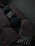 foojo靠枕沙发抱枕靠垫床头靠背立体刺绣慵懒原创emo猫 实拍图