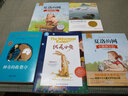 絨毛小兔5-12歲 中英雙語(yǔ) 小學(xué)生校園成長(zhǎng)勵(lì)志閱讀繪本給孩子的童年禮物 兒童文學(xué)小學(xué)生兒童書(shū)【掃碼可聽(tīng)書(shū)】 曬單實(shí)拍圖