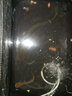 云上飄大物線(xiàn)組套裝全套成品超強(qiáng)拉力尼龍線(xiàn)魚(yú)線(xiàn)主線(xiàn)臺(tái)釣青魚(yú)線(xiàn) 9米(單卷裝) 10# 曬單實(shí)拍圖