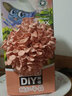 考拉精靈平菇蘑菇種植包菌包2盒裝可食用兒童diy菌菇棒菌菇種植包 紅平黃金(2盒裝) 一個(gè)噴瓶手冊 曬單實(shí)拍圖