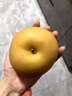 春福樂(lè) 山東豐水梨 新鮮中秋水果禮盒現(xiàn)摘梨子當(dāng)季整箱中秋送禮 凈重4.5-5斤甄選果【單果300g+】 曬單實(shí)拍圖