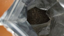 萌肉居波斯菊種子混色格桑花種籽易活室內(nèi)外野花組合種子/波斯菊0.25kg 曬單實(shí)拍圖