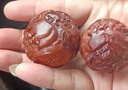玄同玄同 非洲黃花梨十二生肖保健球手球按摩球雕刻文玩實(shí)木雕手把件 曬單實(shí)拍圖
