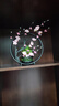 新中式仿真梅花鐵藝盆景擺件室內裝飾花假花客廳玄關(guān)軟裝飾品擺設 粉梅花（含鐵圈） 曬單實(shí)拍圖