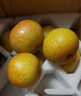 辰實(shí)【順豐】花蓋梨 新鮮東北軟梨 水果特產(chǎn)可做凍梨 5斤（大果）約20個(gè) 曬單實(shí)拍圖