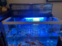 漁樂(lè )極限魚(yú)缸滴流盒過(guò)濾盒雙層免換水凈水循環(huán)系統上置過(guò)濾槽小型滴濾盒過(guò)濾器 雙層滴流盒【4盒】適用55-75cm缸 曬單實(shí)拍圖
