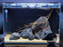 馬印筒燈蘭壽金魚(yú)燈增艷爆藻專(zhuān)用三基色LED魚(yú)缸燈增色照明吊頂燈夾燈 馬印筒燈小支架（50*25CM） 曬單實(shí)拍圖