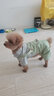 阿莫爾狗狗秋冬衣服泰迪衣服春秋幼犬小型犬貓咪可愛衣服寵物小狗四腳衣 皮卡丘變身裝 L-建議7-9斤內(nèi) 曬單實(shí)拍圖