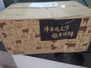 錫林之星 國(guó)產(chǎn)內(nèi)蒙古羔羊羊肉串肥腸烤串20串 冷凍燒烤火鍋食材半成品烤串 羊小腸串20串 帶燒烤料 曬單實(shí)拍圖