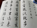 中國歷代書法名家作品集字 王羲之行書字帖  唐詩+弟子規(guī)+三字經(jīng)+千字文+宋詞 名家作品 集字 古詩 王羲之毛筆書法字帖 孫過庭毛筆書法字帖 米芾毛筆書法字帖 王羲之行書集字 全五冊 曬單實拍圖