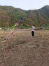 爱吃鱼（aichiyu）七彩飞鸟风筝户外玩具大型风筝成人儿童风筝男孩女孩玩具 实拍图