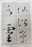 懷素書(shū)法集【套裝2冊】16開(kāi)精裝2冊銅版紙印刷 書(shū)法全集書(shū)法作品集書(shū)法技巧書(shū)法入門(mén)名家書(shū)法 曬單實(shí)拍圖