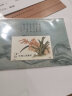 东吴收藏 1949-1991 JT票小型张邮票 集邮 1号 T129M 中国兰花 实拍图