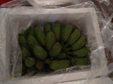 溪山鮮廣西小米蕉香蕉應季水果米蕉蕉綠新鮮批發(fā)整箱3斤5斤9斤大超市 美味小米蕉 約 7-9個(gè)/斤2500g 軟糯香甜，帶有一點(diǎn)點(diǎn)果酸 曬單實(shí)拍圖