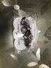 樂瑪發(fā)飾鑲鉆水鉆復(fù)古頂夾橫夾宮廷蝴蝶結(jié)發(fā)夾彈簧夾合金頭飾頭花飾品 2# 曬單實拍圖