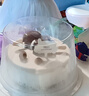 元祖（GANSO）8號水果之戀冰淇淋蛋糕900g 生日蛋糕同城配送 動物奶油網(wǎng)紅冰品 曬單實拍圖