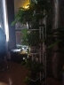 亚思特（YASITE）多层花架北欧室内阳台花架子装饰架铁艺客厅置物架铁艺挂架绿萝架 白色-8盆【高126cm】 实拍图