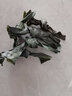 鯊魚(yú)哥烘干海帶結(jié)干貨特厚海帶扣海帶絲商用整箱小結(jié)500g麻辣燙無(wú)沙霞浦 小結(jié)一斤約600個(gè)左右 曬單實(shí)拍圖