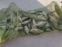 狼王磯竿碳素磯釣竿3號(hào)魚竿套裝手海兩用拋竿甩桿海桿海韻磯 2.4米+紡車輪2500型【防海水】 曬單實(shí)拍圖