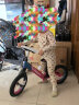 飞鸽（PIGEON）儿童滑步车小孩平衡车脚踏车2-5岁单车活力彩色 实拍图