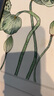 贈(zèng)教學(xué)視頻 彩色鉛筆零基礎(chǔ)入門教程 彩鉛畫入門教程書臨摹本色鉛筆的溫情手繪飛樂鳥彩鉛漫畫繪畫入門教材自學(xué)零基礎(chǔ)書書籍正版 曬單實(shí)拍圖