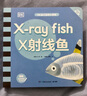 DK幼兒動物小百科雙語版科普啟蒙讀物英語語感 全套1000+單詞（套裝8冊） 曬單實拍圖