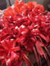 喜當(dāng)當(dāng)（xidangdang）婚車?yán)ńz帶婚慶禮用品婚房布置彩帶花車手拉花汽車結(jié)婚車隊(duì)裝飾 三層雪紗酒紅龍鳳喜拉花（10條 曬單實(shí)拍圖
