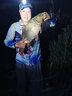 速聚達速聚達全能腥香大板鯽奶香果香鯽魚(yú)野釣四季通殺秋冬季釣野釣餌料 速聚大果香鯽500克/1包 三包裝 曬單實(shí)拍圖