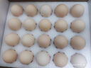 1號會員店One's Member葉黃素可生食標(biāo)準(zhǔn)鮮雞蛋 20枚 單枚55g 源頭直發(fā) 曬單實拍圖