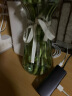泰西丝 玻璃花瓶创意水培植物玻璃花瓶透明水养绿萝花盆容器插花瓶圆球形鱼缸器皿 22(收腰)透明 中等 不含绿植 实拍图