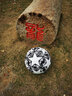 RONALDOC羅歐洲杯足球2024正品質(zhì)真皮比賽紀念款兒童5號成人學(xué)生中考足球 C羅榮耀黑限定版-4號球 無(wú)規格 曬單實(shí)拍圖