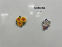 墨斗魚(yú)冰箱貼ins簡(jiǎn)約創(chuàng  )意花朵樹(shù)脂立體磁力貼卡通冰箱貼喬遷新居裝飾 一束百合 曬單實(shí)拍圖